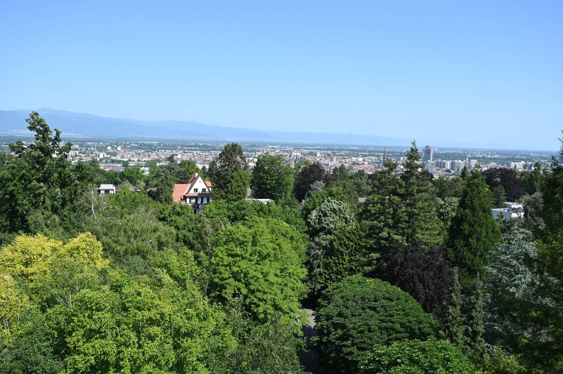 Vue sur Mulhouse depuis le belvédère au Rebberg